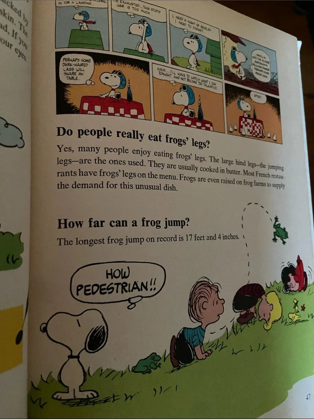 Vintage 70s 1970s Snoopy Peanuts Charlie Brown's Super Book Questions Answers hc